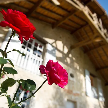 Le Poutic Et Affittacamere 4*