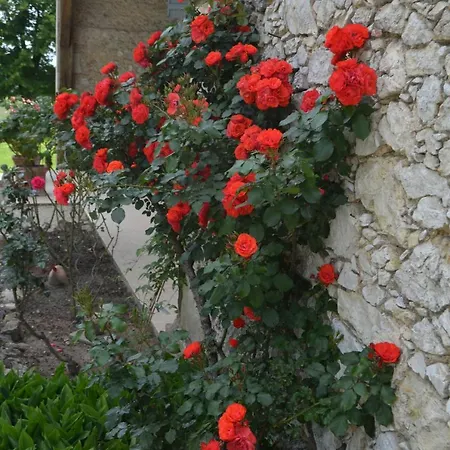 Le Poutic Et Creon-d'Armagnac