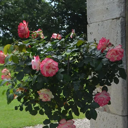 Le Poutic Et Affittacamere 4*