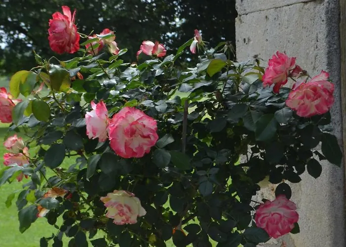 Le Poutic Et Vendégház 4*